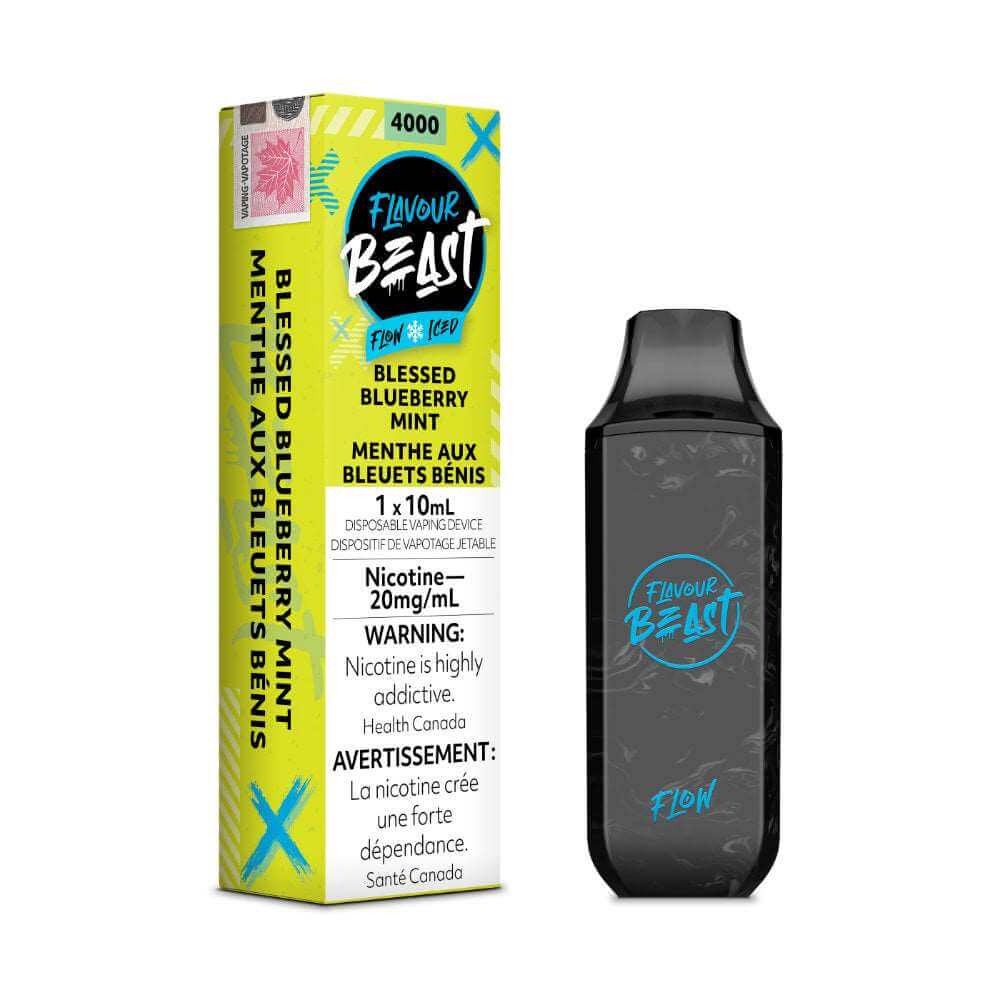 Disposable Vape - Blessed Blueberry Mint Iced - Flavour Beast Flow - 6pc